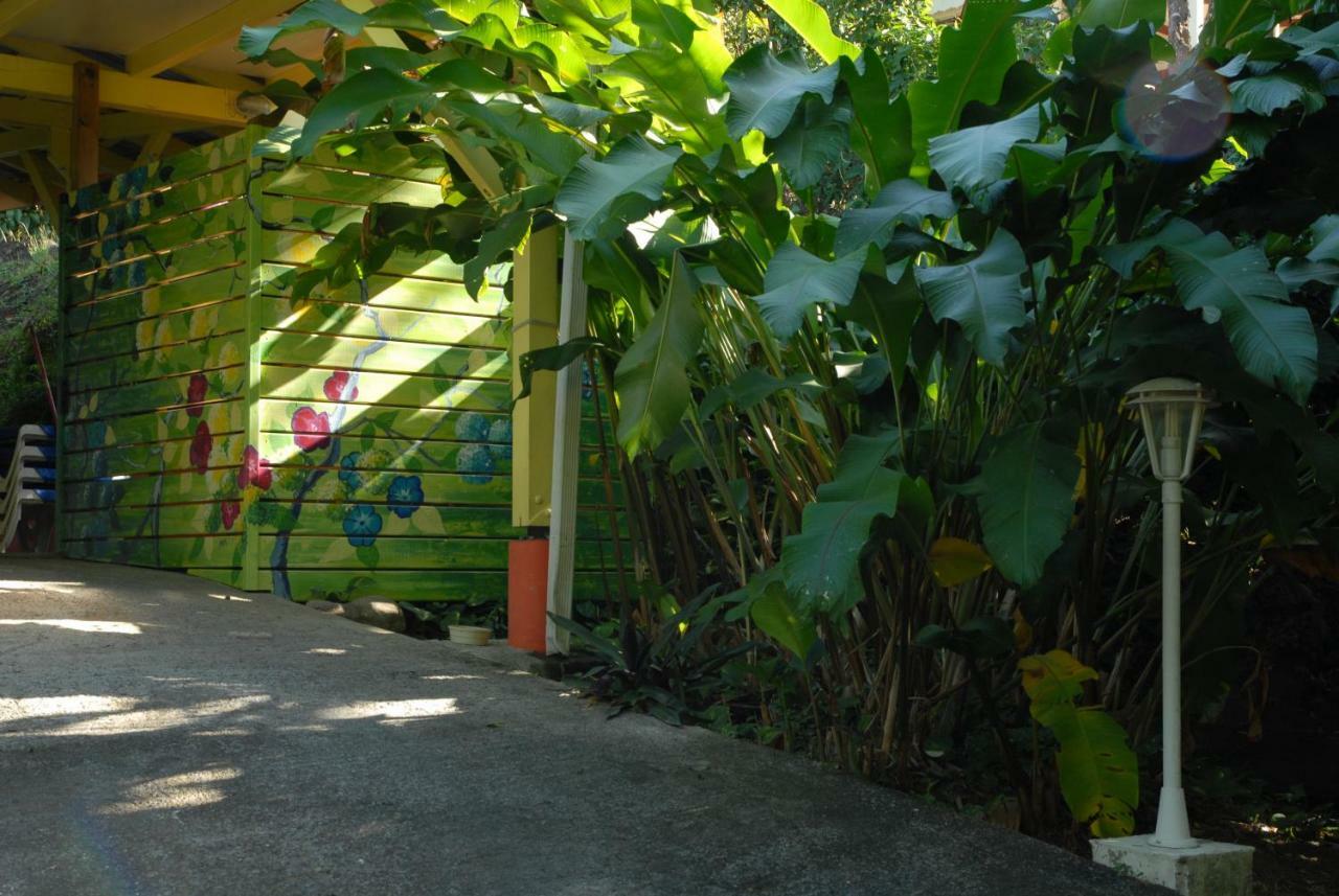 Green House Deshaies Ngoại thất bức ảnh